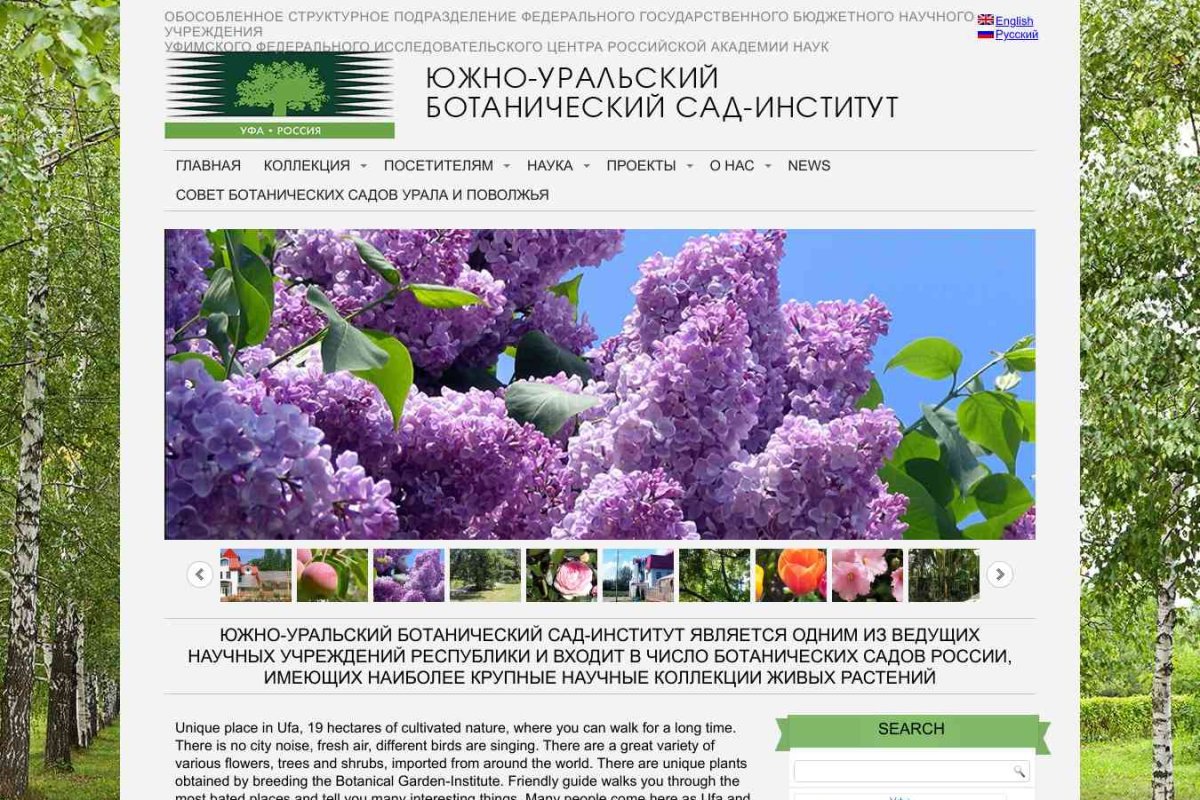 Ботанический сад-институт, Уфимский научный центр РАН