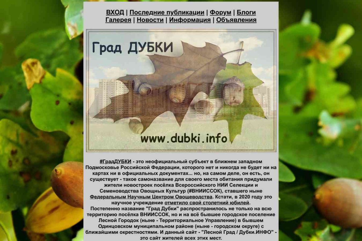 Град Дубки-Лесной городок, информационный портал