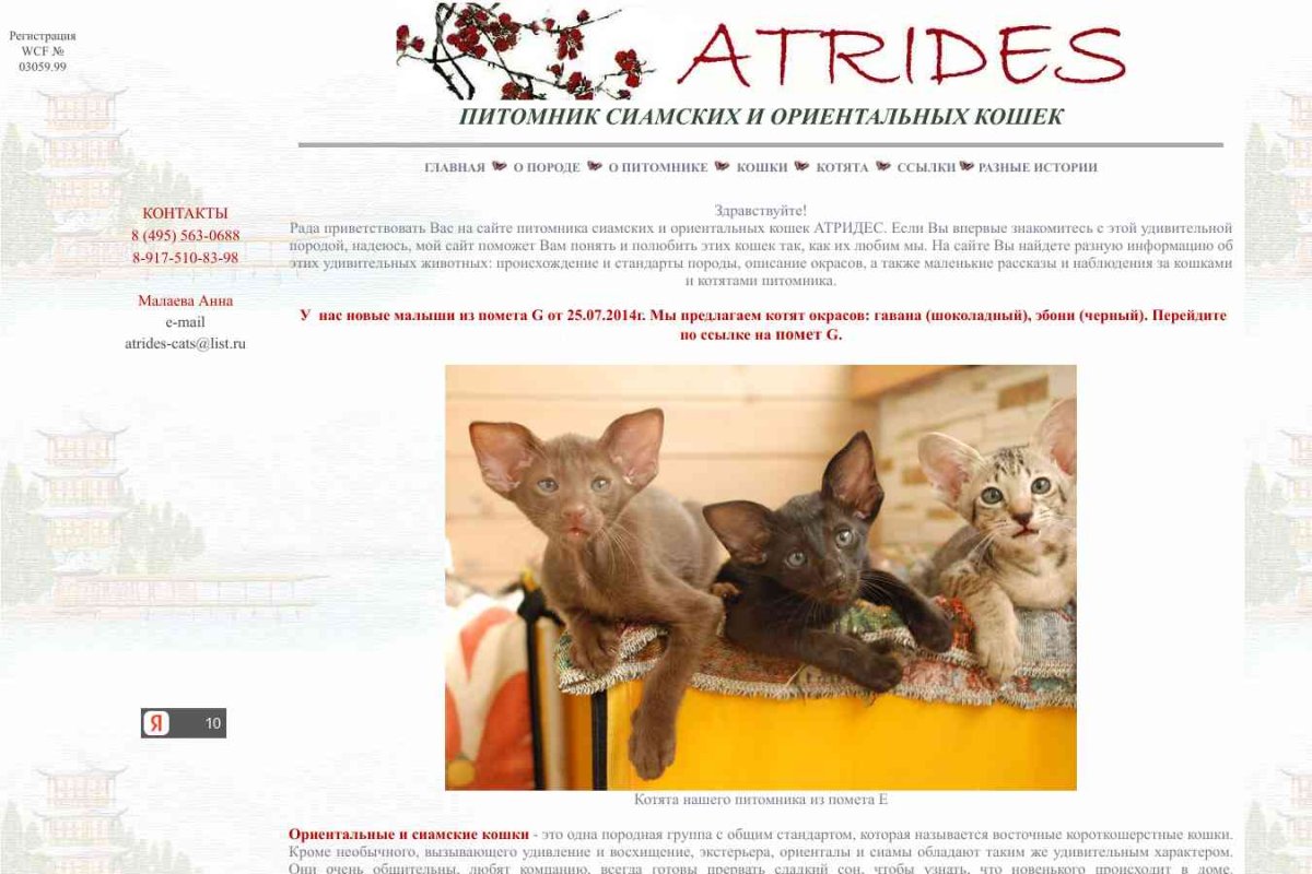 Атридес, питомник кошек