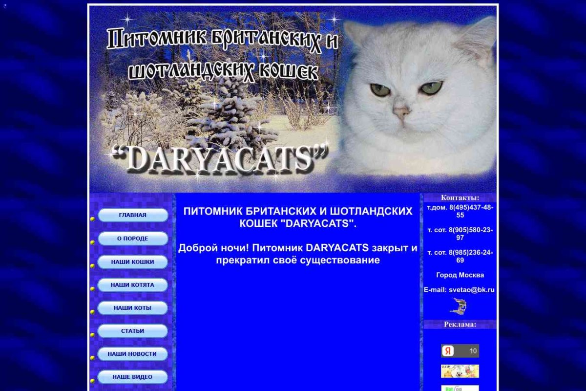 Daryacats, питомник британских и шотландских кошек