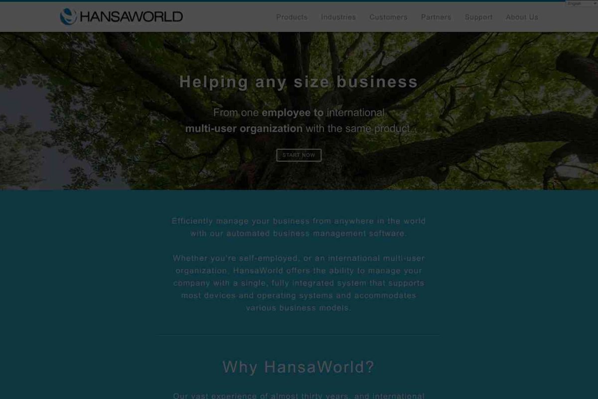 HansaWorld, внедренческая компания