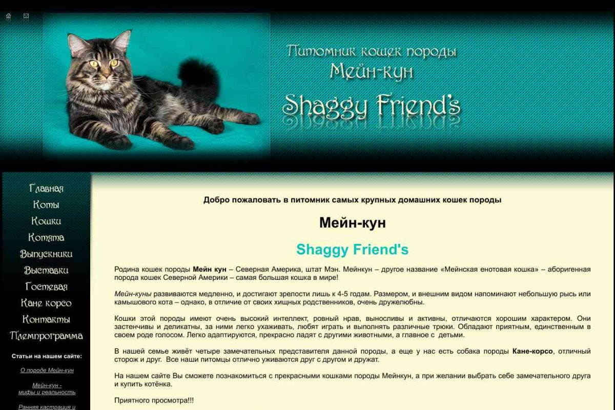 Shaggy Friend`s, питомник кошек