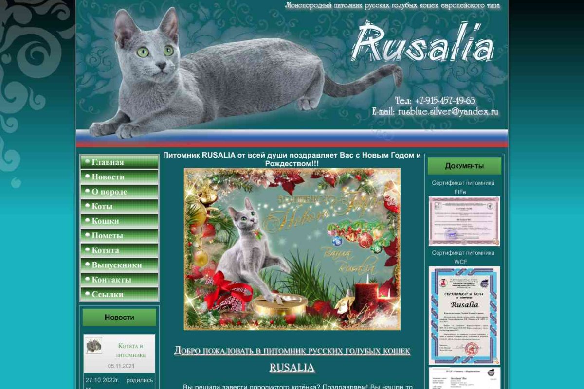 Snezhana`Rus, питомник русских голубых кошек