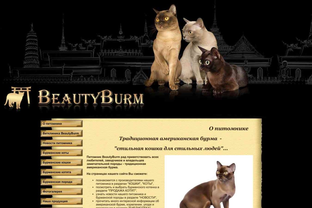BeautyBurm, питомник кошек