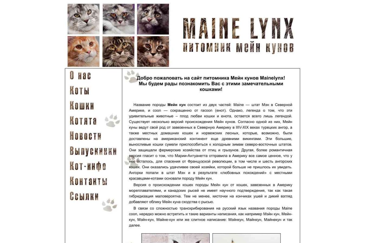 MaineLynx, питомник кошек